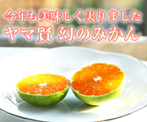 �y����
